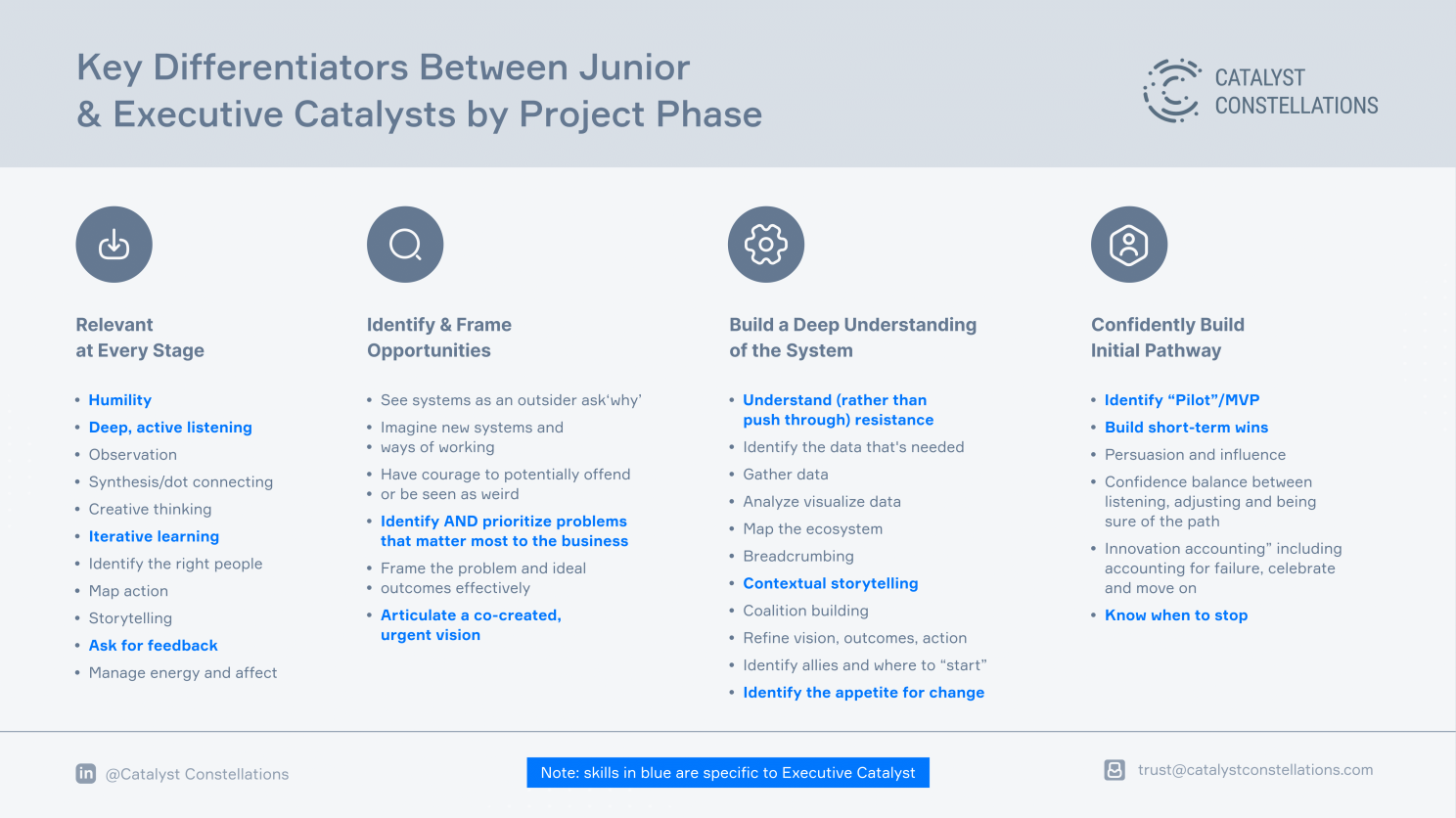 Developing Your Next Generation of Change Leaders - Catalyst Constellations